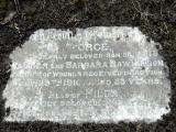 image of grave number 59034
